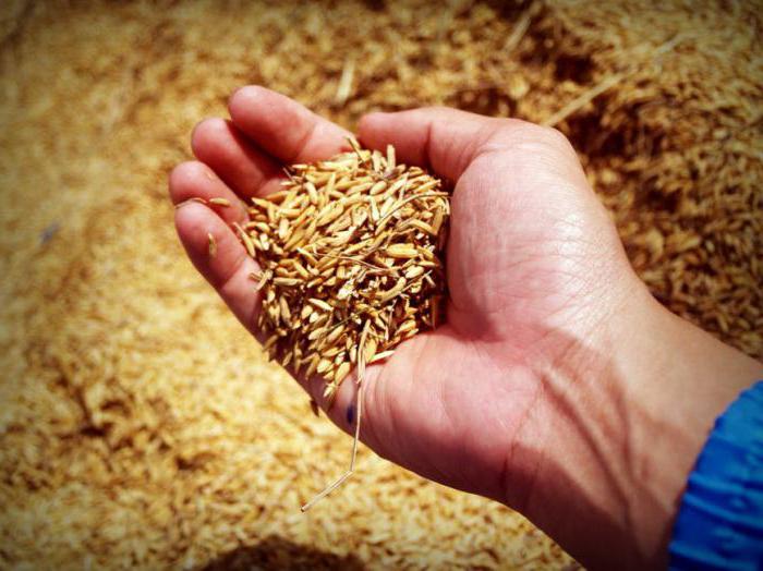 KFH activities by OKVED