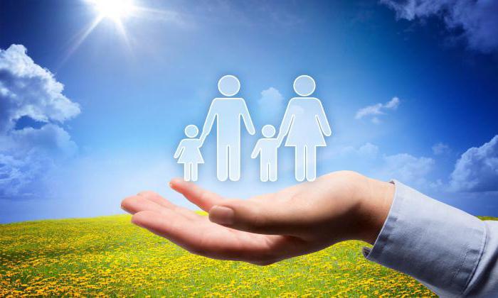 insurance contributions to funds