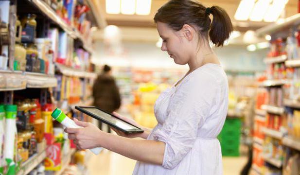 audit plan and program