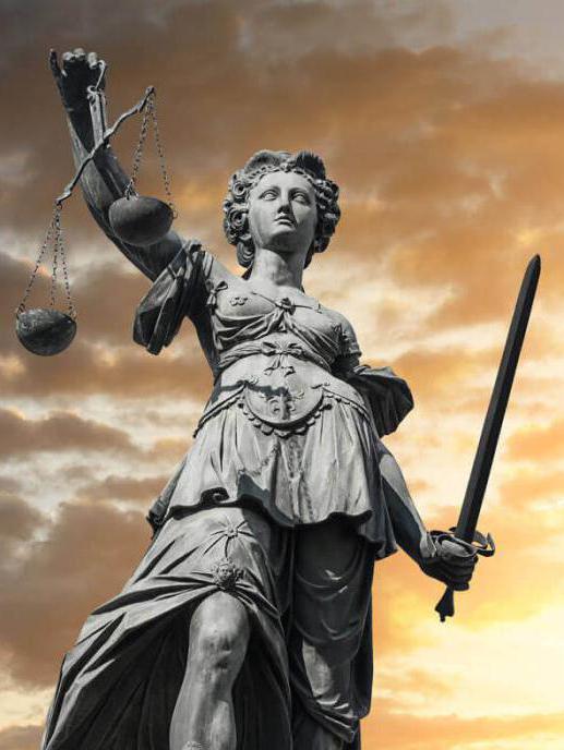 special court proceedings