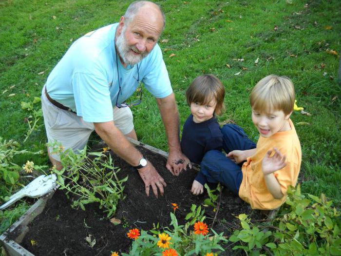 what business to open to the pensioner