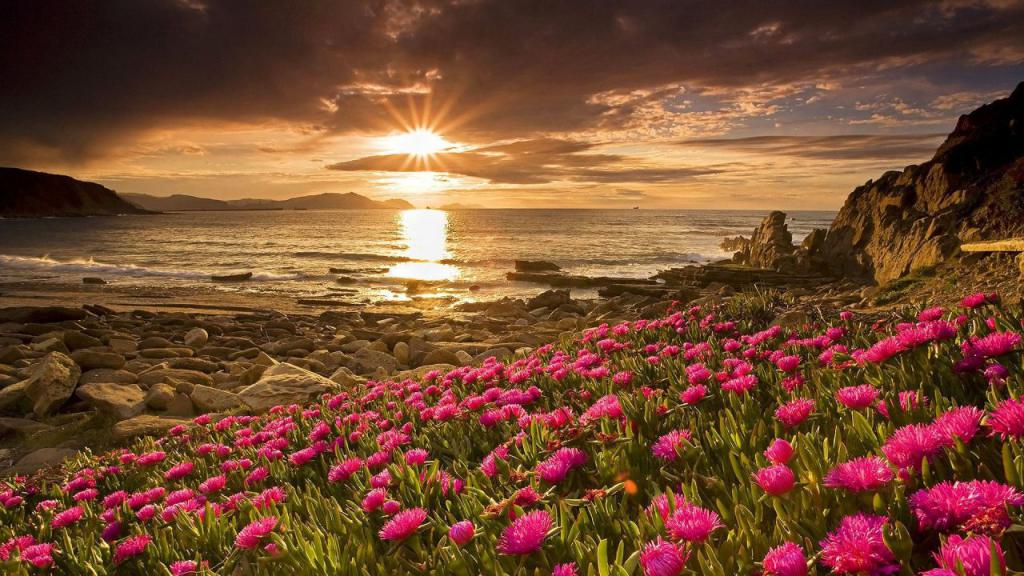 Beautiful landscape - part of PS