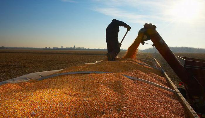 indicators of severity and labor intensity