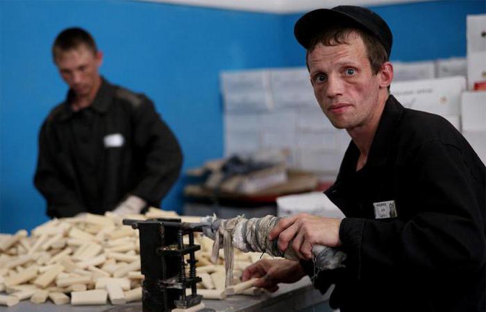 clemency is the power