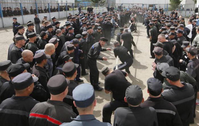 pardon is carried out