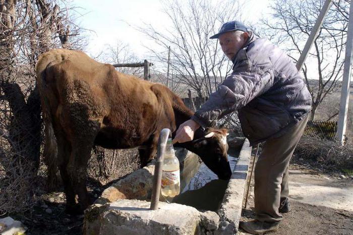 plots for private housing