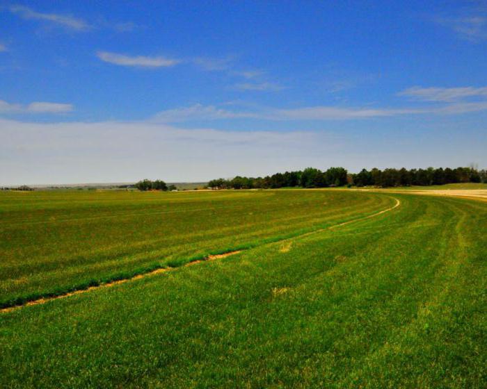 how much is a land share