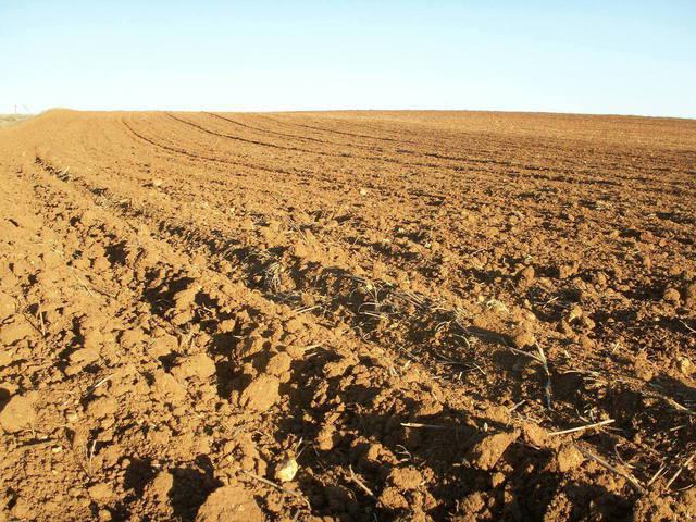 unauthorized seizure of land st 234