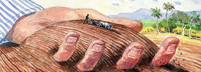 what is the penalty for unauthorized seizure of land