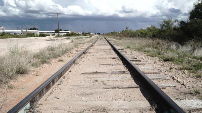 relevant costs are considered