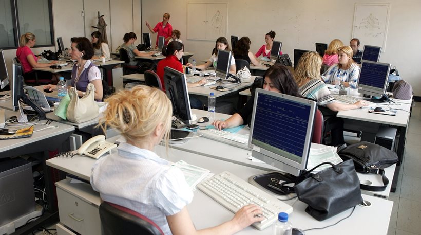 Categories of public sector employees