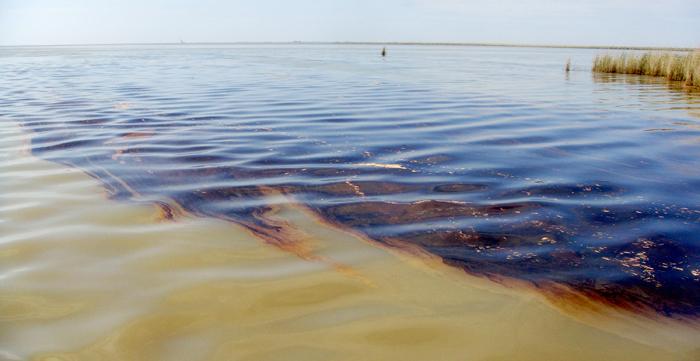 oil pollution of water bodies