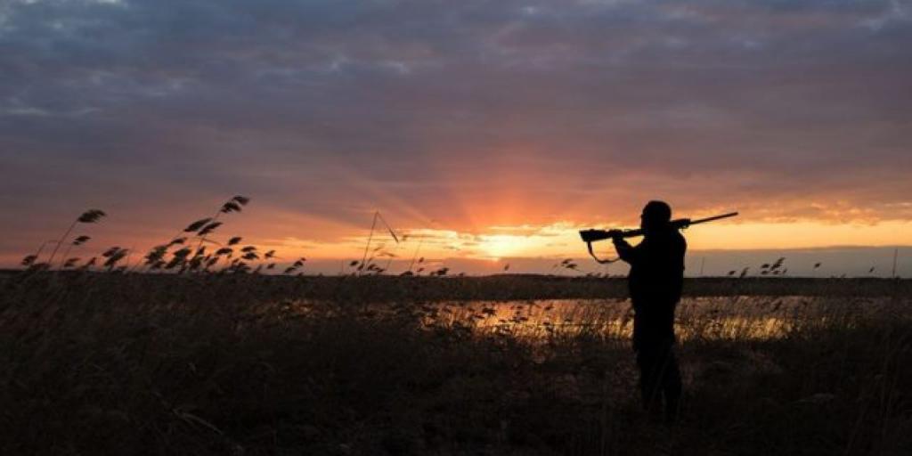 What are the types of hunting