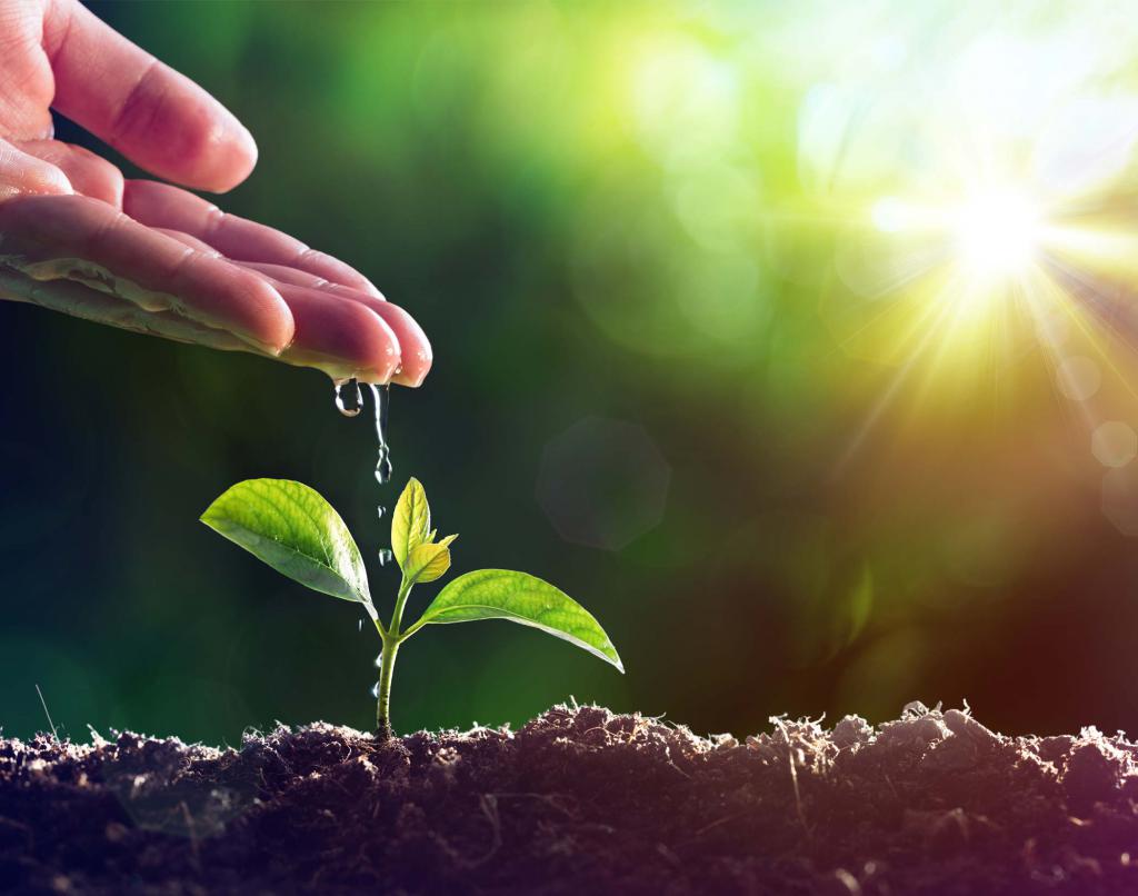 Agricultural Development Factors