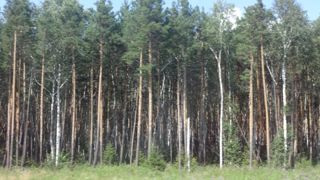 Demographic problems of the Sverdlovsk region