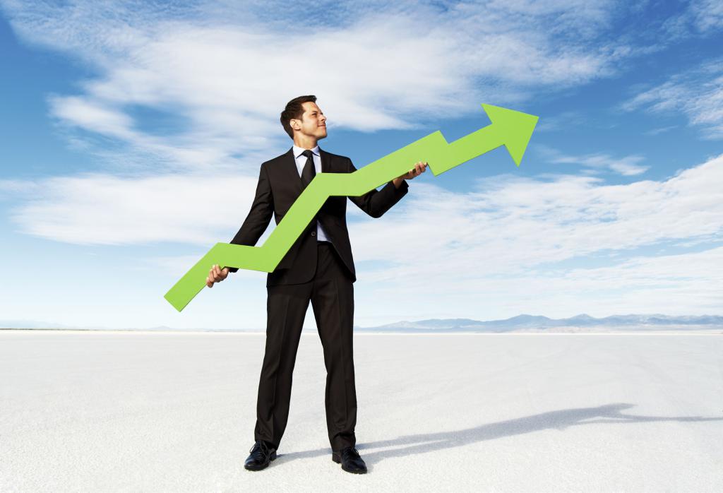 assessment of liquidity and solvency of the enterprise