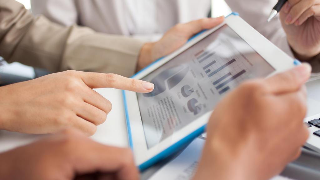 equity and borrowed capital in the balance sheet