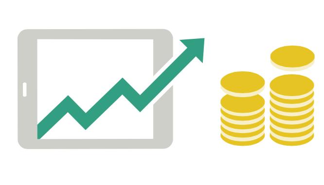 organization profit and income