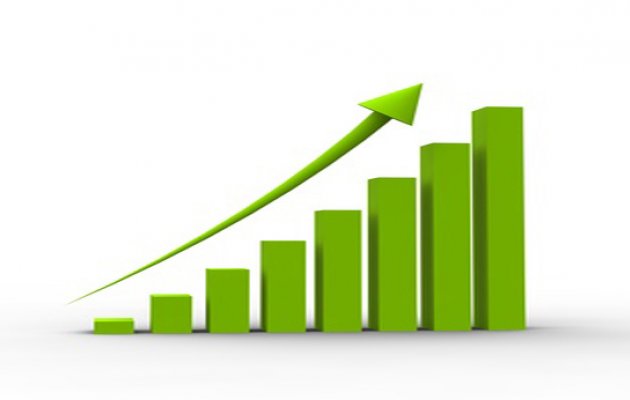 organization revenue growth