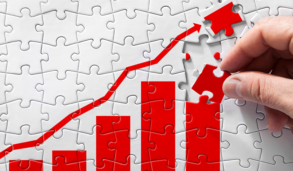 organization revenue organization goals