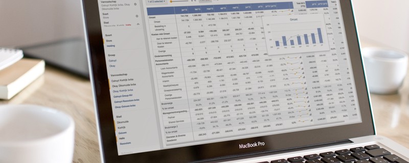 financial statements for the year