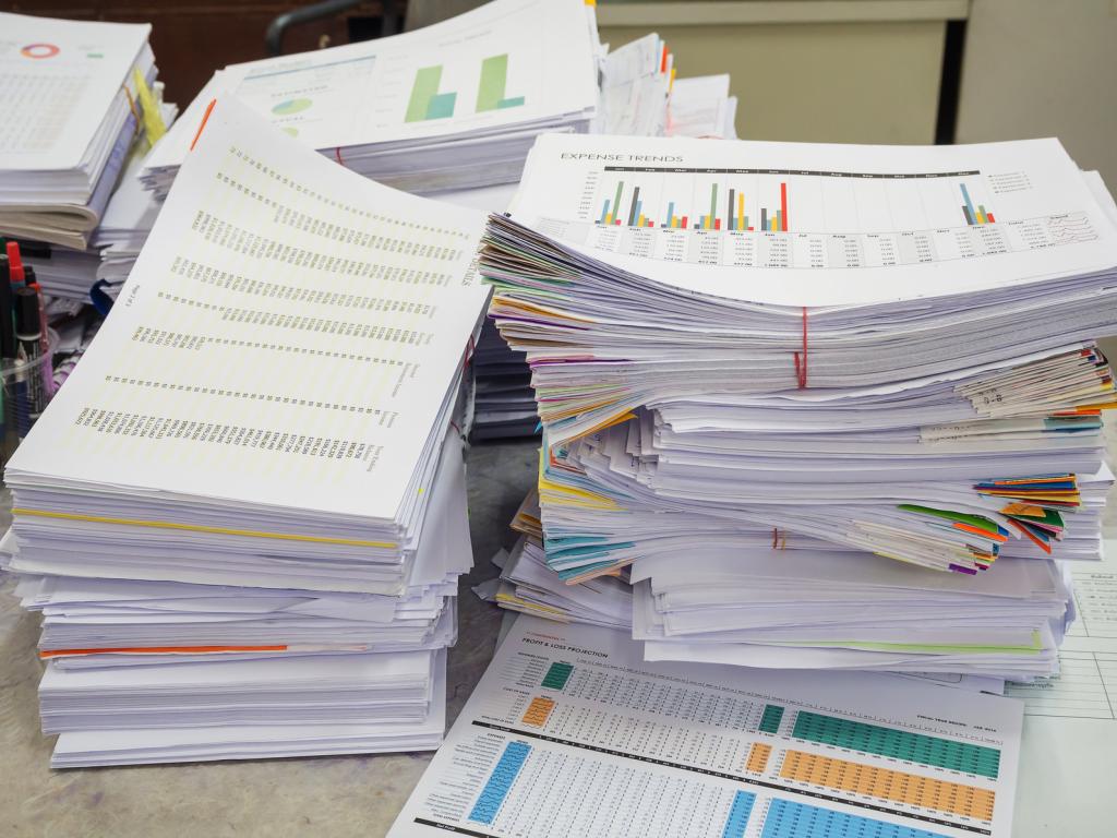 annual financial statements of the organization