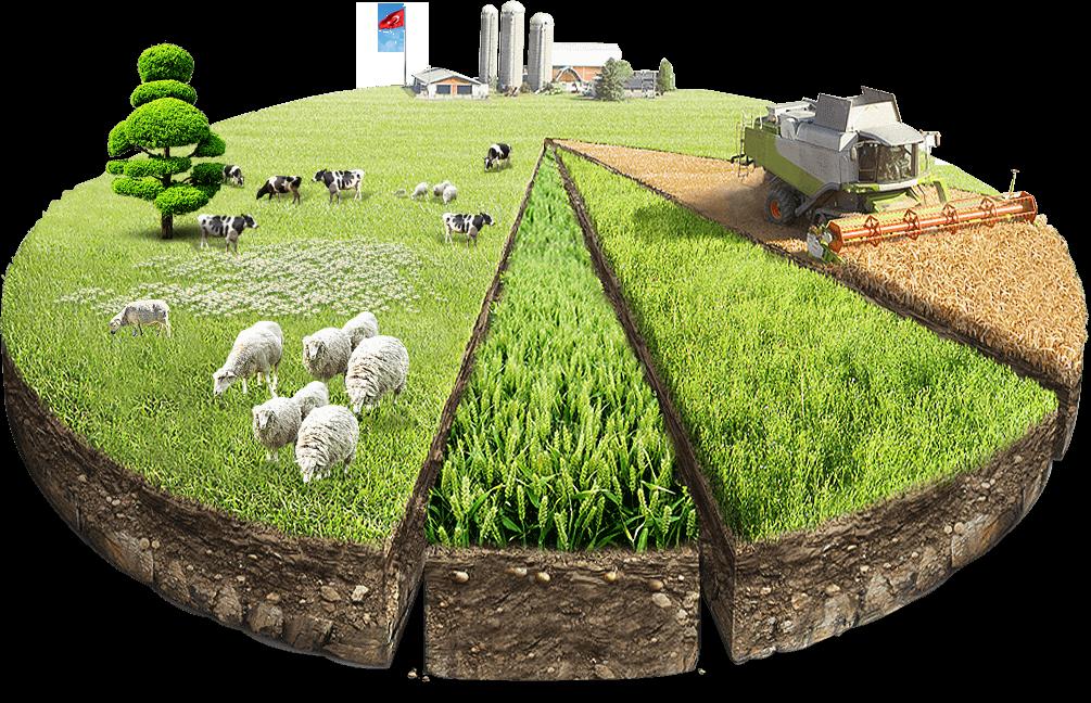 Land donation agreement