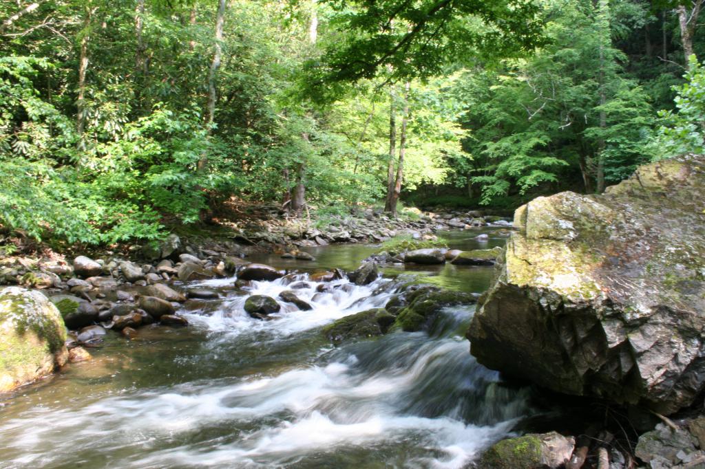 grounds for the emergence of rights to land st 25