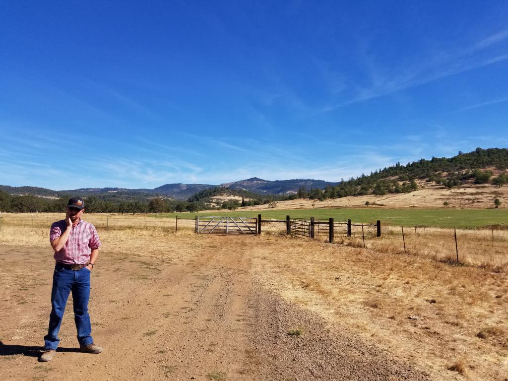 the owner of the land has the right to