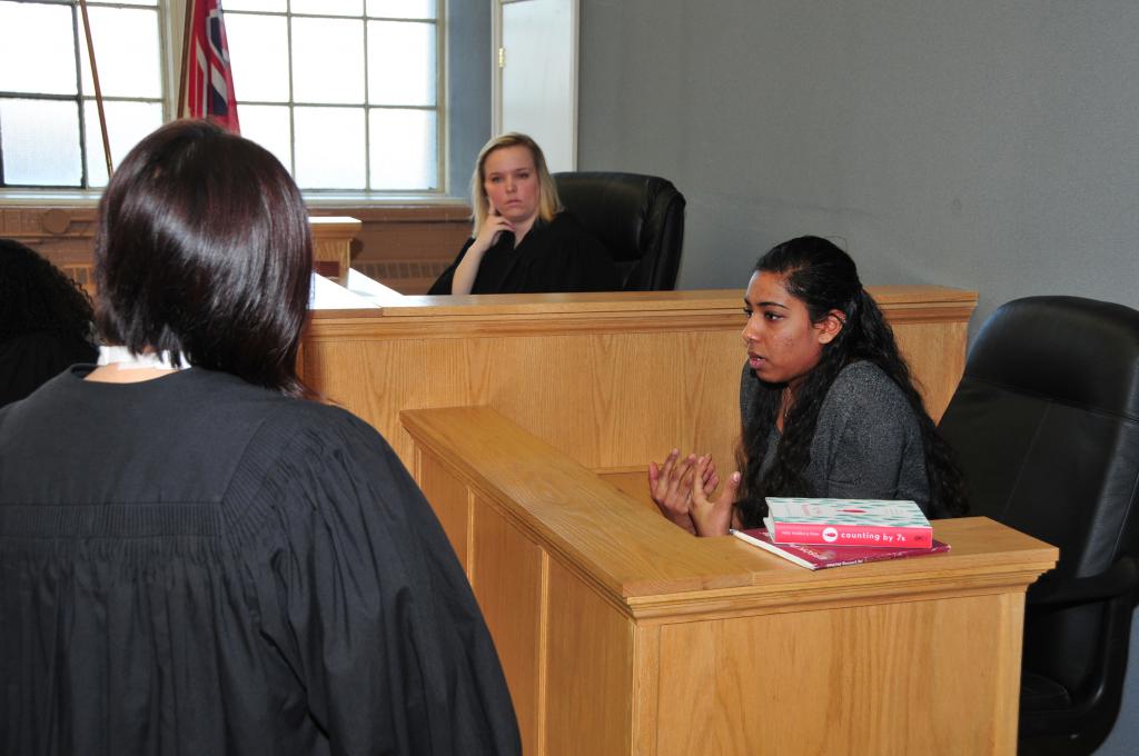 Testimony in civil proceedings sample