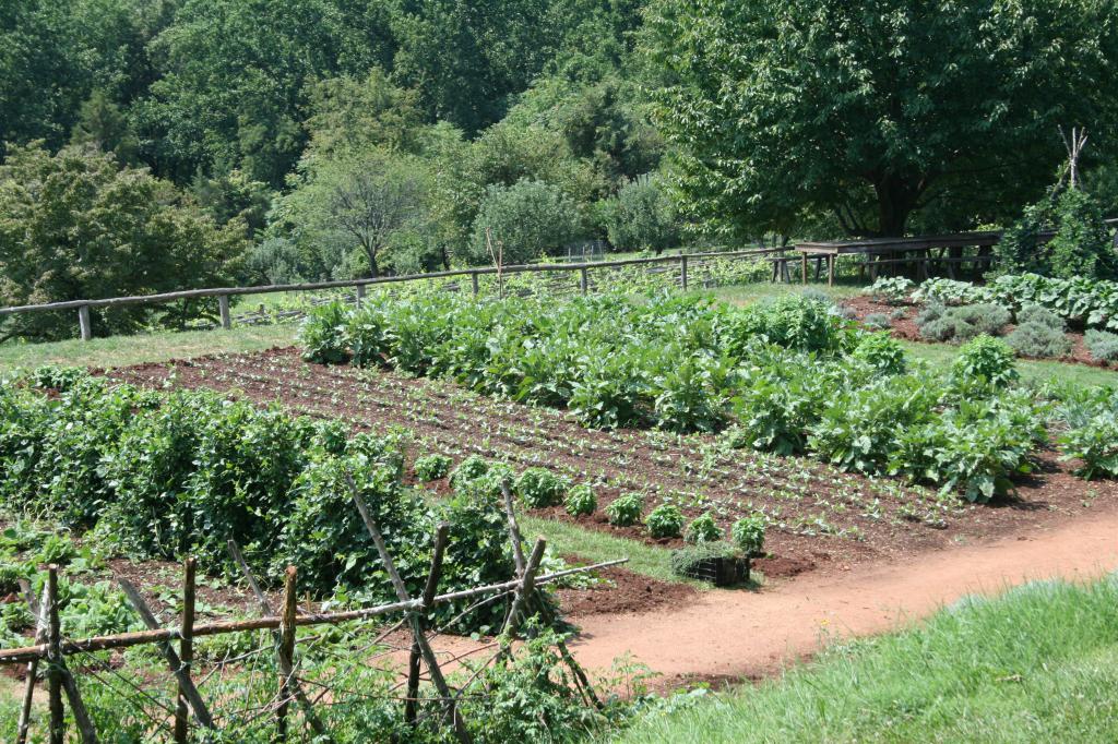 the need for surveying garden plots