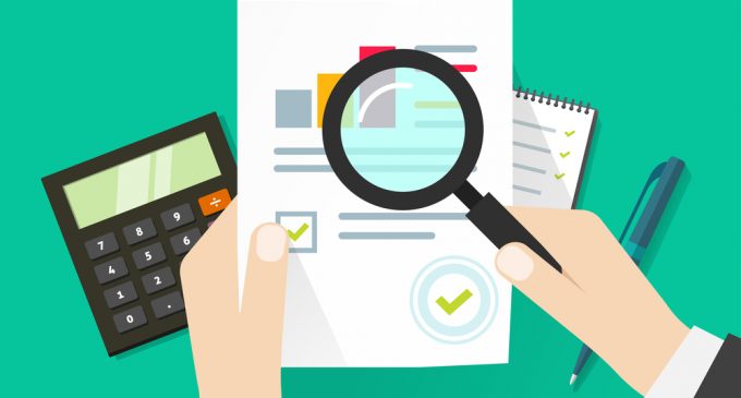 audit of the financial statements of the enterprise form