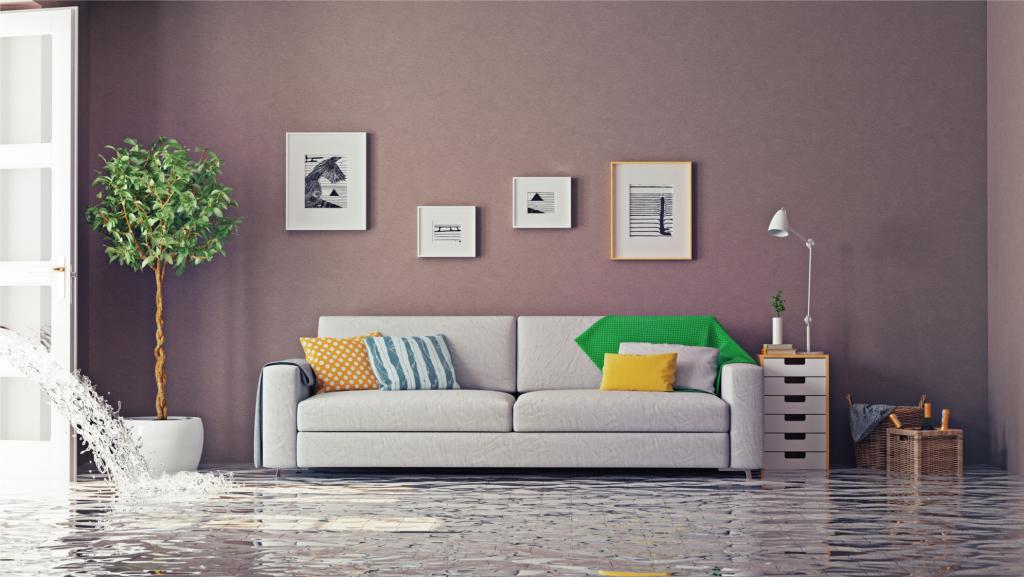 act of inspection of an apartment during flooding sample