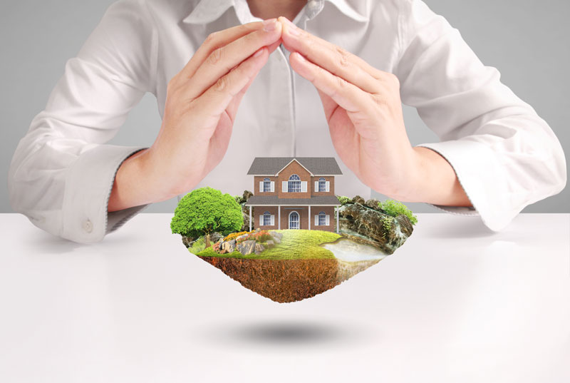 privatization of a country house on privatized land pluses