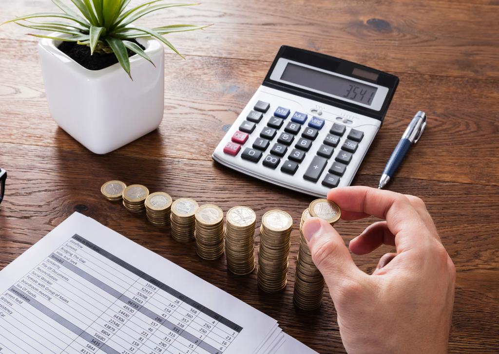 tax evasion by individuals