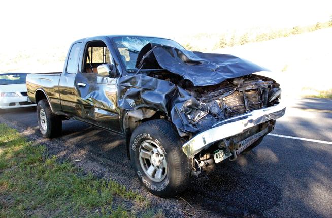 how much is a penalty for a downed moose