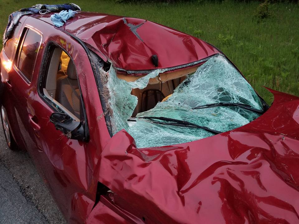 what is the penalty for downed moose