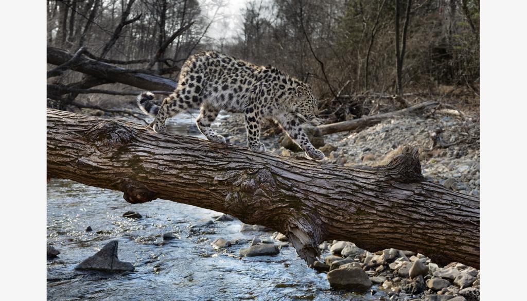 borders of protected areas