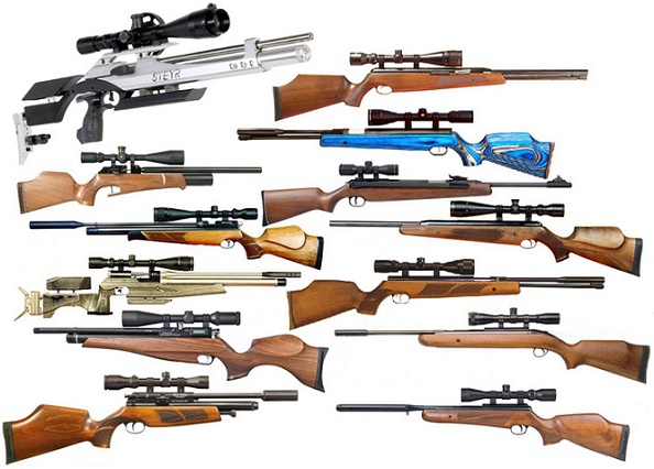 how to choose an air rifle