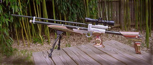 how to choose a pcp air rifle