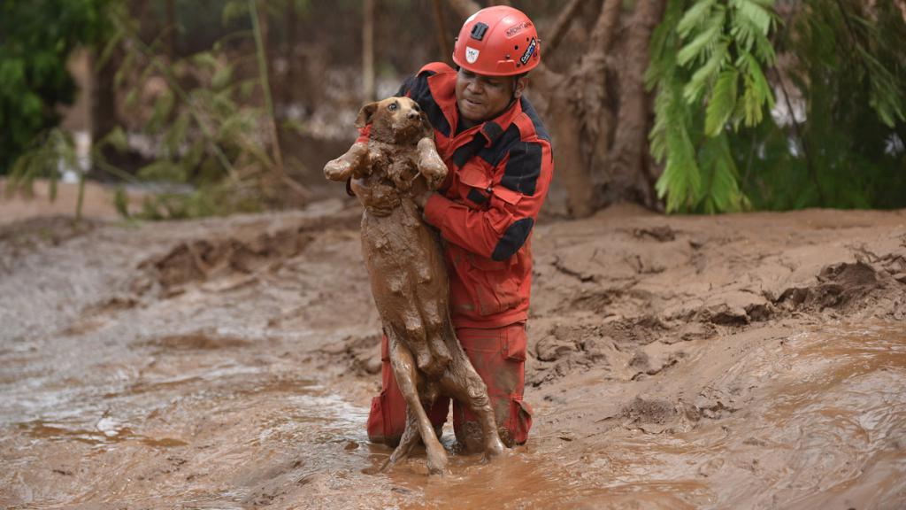 saving the environment