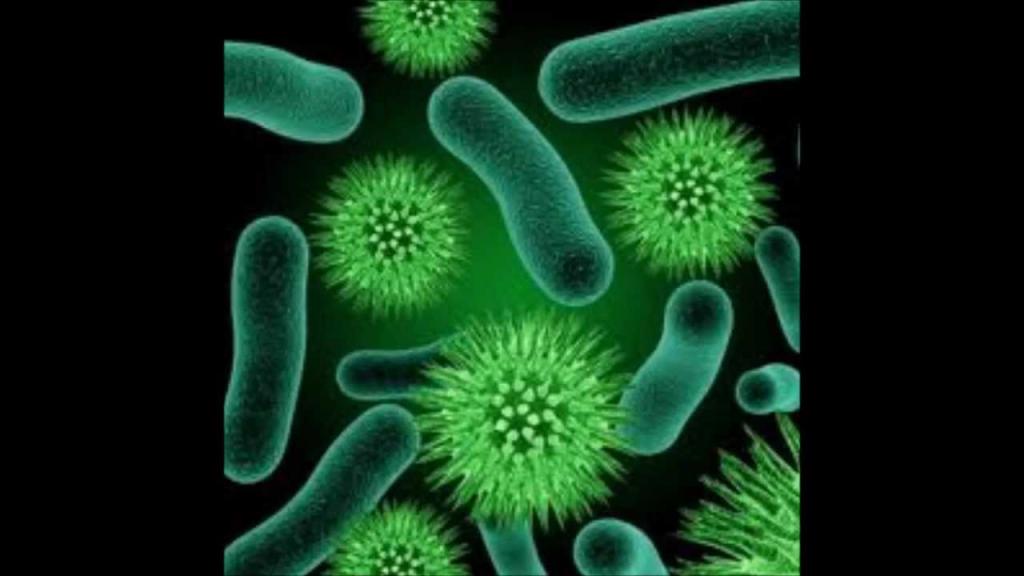 Harmful microorganisms