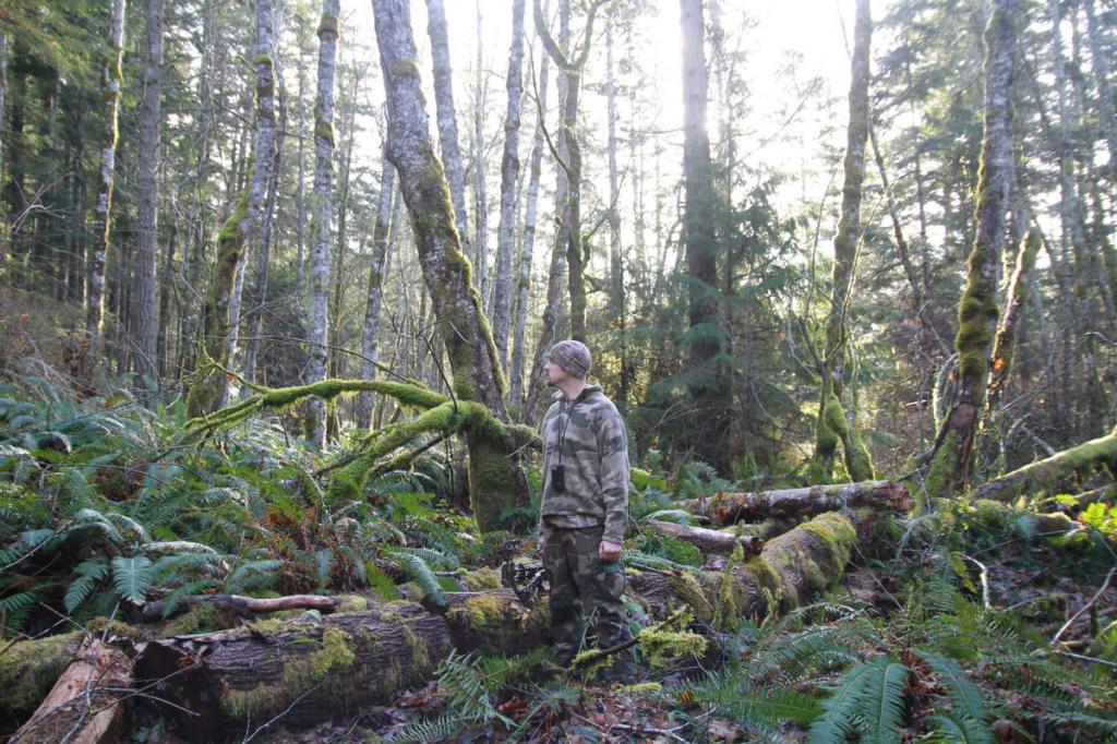 man walks through the woods