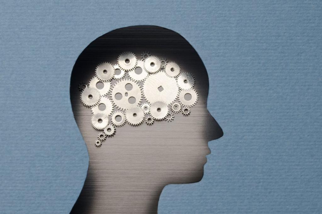 Conclusion of the article