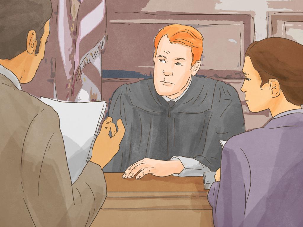 Application for guardianship