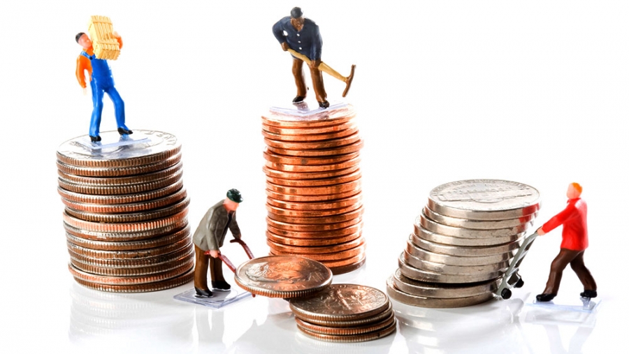 Share in the authorized capital