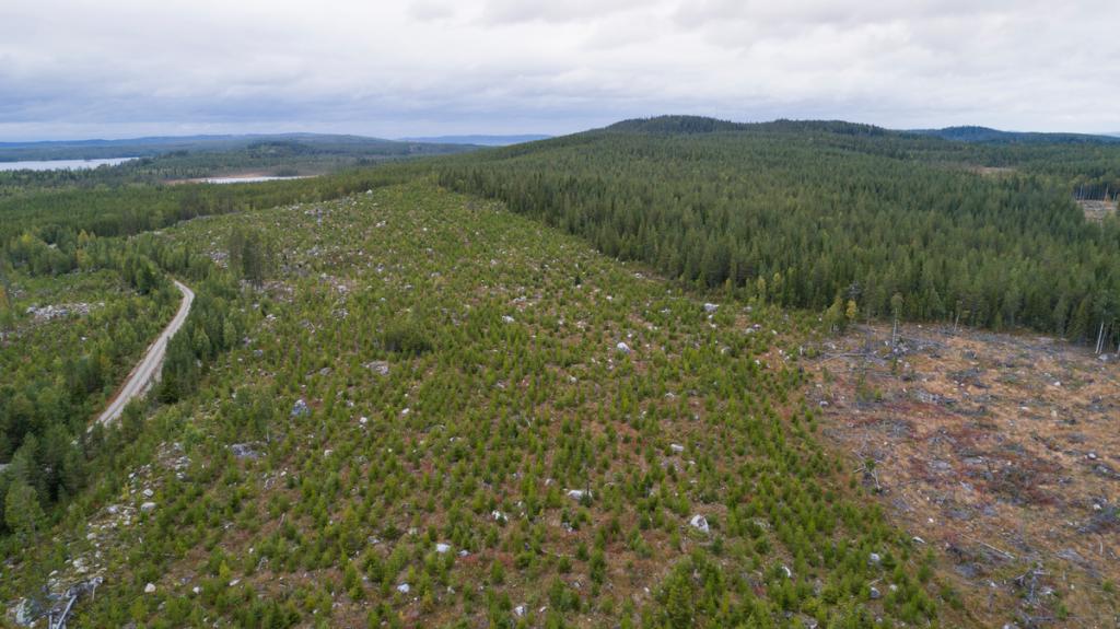 Production scaffolding