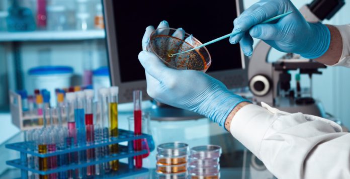 Work in the laboratory