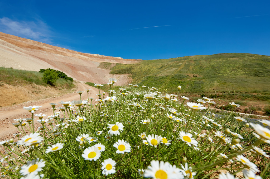 Land cover restoration activities