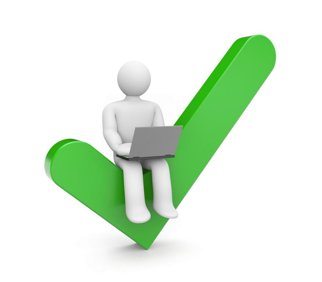 Verification as a process